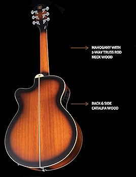 Amazon | Washburn ワッシュバーン WASHBURN (ワッシュバーン